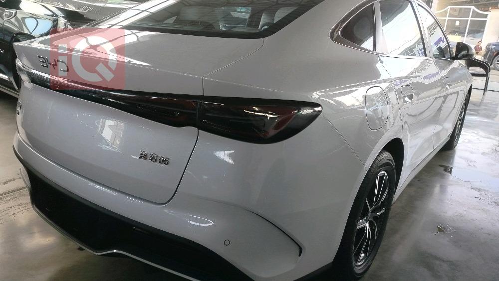 بي واي دي سيل 06 DM-i